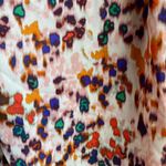 Julie Billiart  Blouse Photo 5