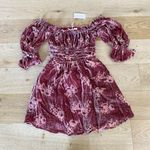 Hutch Leland Bohemian Velvet Burnout Mini Dress in Cinnamon Photo 0