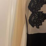 Auditions Black and nude knee length mini dress size small Photo 2