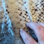 Violet+Claire  women's blouse reptile print size medium‎ 100% polyester Photo 9