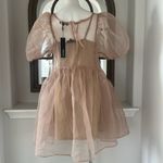 Beulah  TAN Fine Organza Mini Dress w/Slip, Size s Dress Size M New w/Tag $168 Photo 8