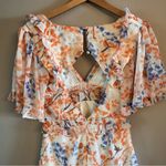 Hello Molly Frolic Season Dress Photo 6