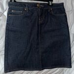 ZARA  dark wash denim skirt Photo 0