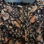 Olivaceous  Top Photo 2