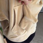 American Eagle  Gold Velour Velvet Pullover Hoodie Photo 4