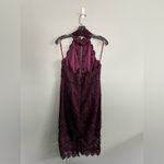 Bardot  Short Lace High-Neck Purple Dress with Illusion Details Sz 8 Photo 5
