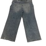 Wonderly Plus Size Wide Leg Raw Hem Button Front Denim Jeans Size 22 Photo 1
