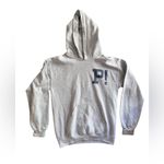 Limited Edition Panic At The Disco 2019 Rodeo Houston Hoodie Gray Size S Photo 1
