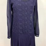 Vintage Odessa Sheer Dark Plum Embroidered Dress Photo 5