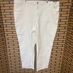 Terra & Sky  White Straight Leg Jeans Size 22W Photo 0