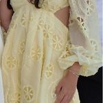 Bardot Revolve  Photo 3