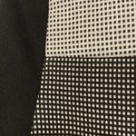 Club Monaco  Black & White Dress Photo 6