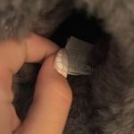 Uggs discontinued slippers Photo 4