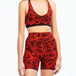 Splits59  Red Active Set Photo 1