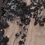 🖤 12th Heart Medium Black Sequin Ornate Floral Bodycon Dress 🖤 Photo 8