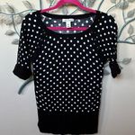 White House | Black Market Polka Dot Short Sleeve Sweater Sz S Photo 0