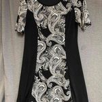 Sami & Jo Black White Casual Dress Short Sleeve Scoop Neck Womens Large Photo 0