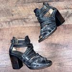 FREEBIRD by Steven  Claw Sandals in Distressed Black Photo 1