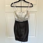Tony Bowls NWT  Black and Ivory Cocktail Dress Size 0 Photo 2