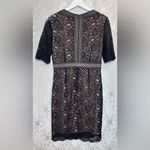 Antonio Melani  Black Lace Sleeve Dress Photo 3