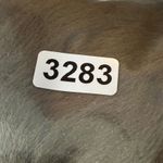 Kate Spade  Trine‎ Faux Fur Collar Wool Moto Jacket Gold Hardware Black Size 14 Photo 9