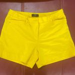 Tahari Summer Pants Photo 0