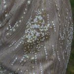 Hello Molly  Dress Photo 4