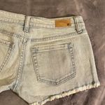BP Distressed Cut off Shorts Photo 3
