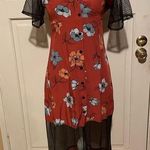 Mink Pink Button Down Dress Photo 0