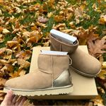NWT  Authentic mini shine boots / uggs / Ugg​ Photo 1
