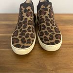 Rothy's Rothy’s The Chelsea boots in Wildcat Women’s Size 7.5 Photo 4