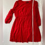 Chiffon Swiss Dot Empire Dress Plus Size Red Long Sheer Sleeve Elastic Waist 18W Photo 5