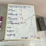 GSTQ NWT Rib Photo 9