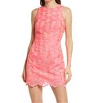Adelyn Rae  Mila Lace Halter Mini Dress Hot Pink Coral neon medium Photo 2