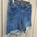 Max jeans ‎ Cut-Off Denim Shorts Photo 2