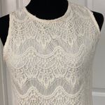 Stella Luce Lace cream dress. Fully lined. small Photo 3