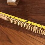 Lightweight Golden Color Collar Gold Photo 4