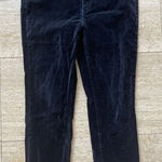 Soft Surroundings New  Stretch Velvet Leggings Blue Pants‎ 8 Photo 0