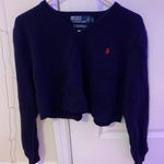 Ralph Lauren Polo  Cropped Sweater Photo 0