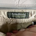 Eddie Bauer  Tan Cargo Rip Stop Outdoor Pants Photo 5