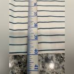 Ann Taylor New NWT  Off White and Navy Blue Striped Dress Photo 6