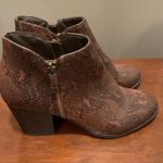 Style & Co . Women's Brown Faux Leather Python Zip Booties Shoes Size 8.5 EUC Photo 0