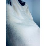 Matilda Jane Matilda, Jane FAUX for vest wedding anthropology tall boots, leather small Photo 5