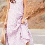Charlie Holiday NEW  Isabella Maxi Dress Lilac Polka Dot Cotton Sz 8 Photo 0