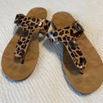 blowfish  leopard print thong sandals size 6 Photo 0