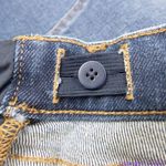 Madewell NEW Maternity Side-Panel Skinny Jeans in Wendover Wash, 28 Photo 10