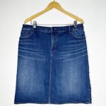 Pilcro and the Letterpress  Anthropologie Ruffle Back Denim Skirt Size 32 Photo 0