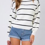 Princess Polly Brand New Striped Turtleneck Sweater Photo 0