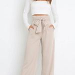 Petal and Pup  Kieran High Rise Wide Leg Pleated Belted Pants in Beige Size 4 NWT Photo 3