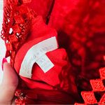 Lovers + Friends  Blush Lace Mini Dress in Poppy Red Size XS Photo 9